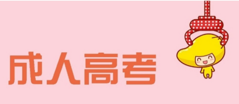 山东成人高考报名人数2023