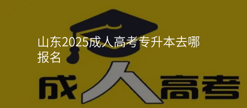 山东2025成人高考专升本去哪报名