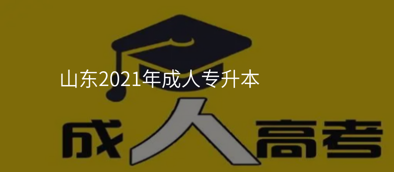 山东2021年成人专升本