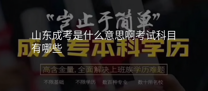 山东成考是什么意思啊考试科目有哪些