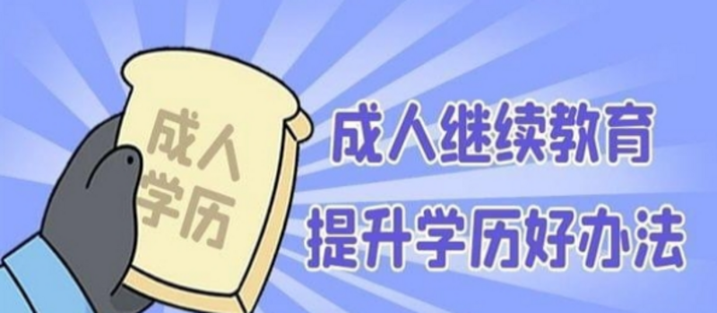 山东成考函授本科怎么报名的