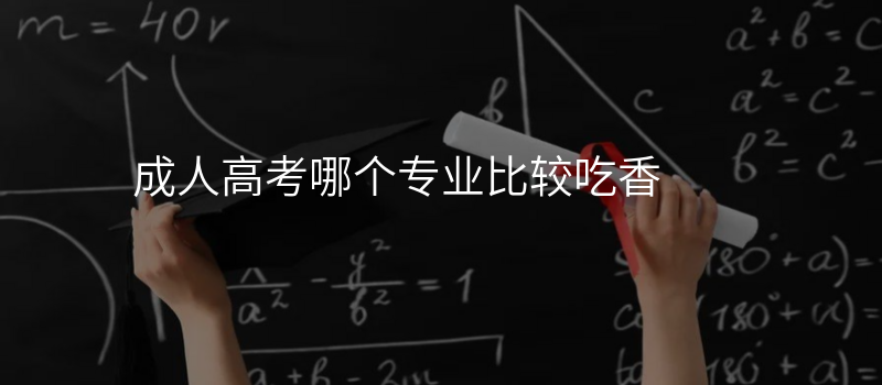 成人高考哪个专业比较吃香