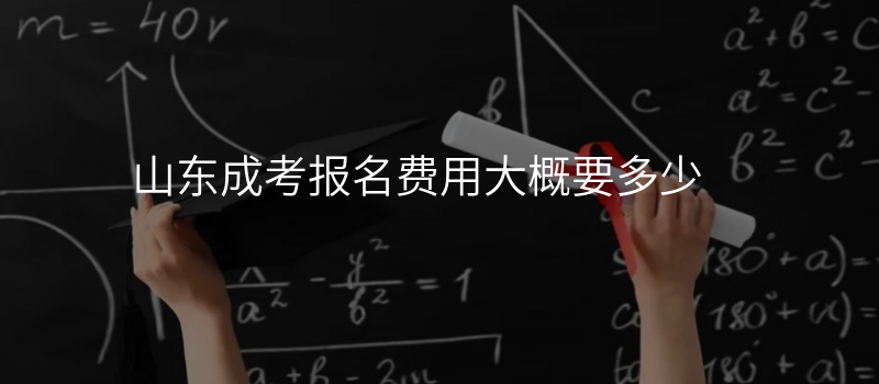 山东成考报名费用大概要多少