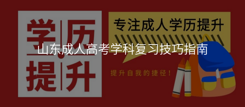 山东成人高考学科复习技巧指南