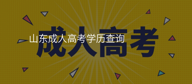 山东成人高考学历查询
