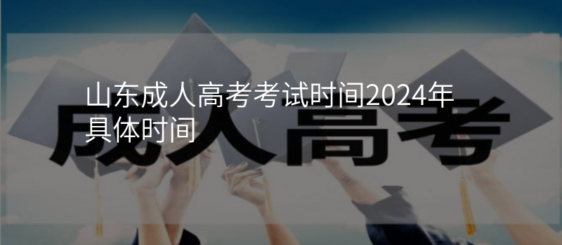 山东成人高考考试时间2024年具体时间