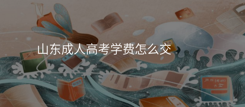山东成人高考学费怎么交