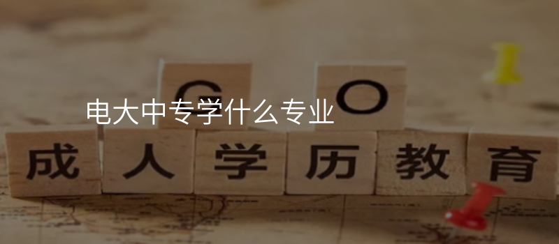 电大中专学什么专业