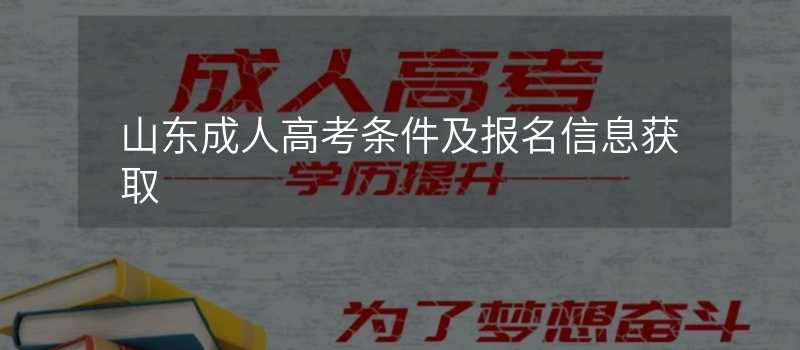 山东成人高考条件及报名信息获取