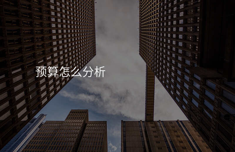 预算怎么分析