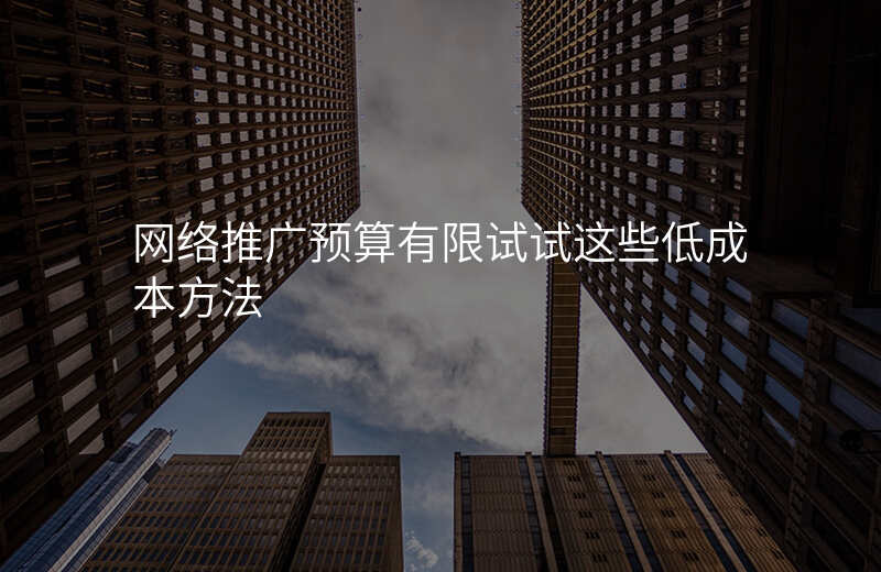 网络推广预算有限试试这些低成本方法