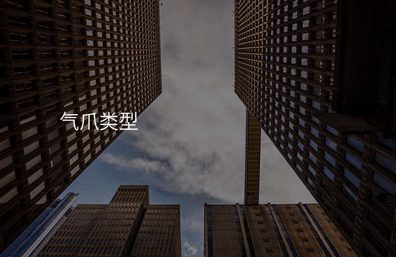 气爪类型