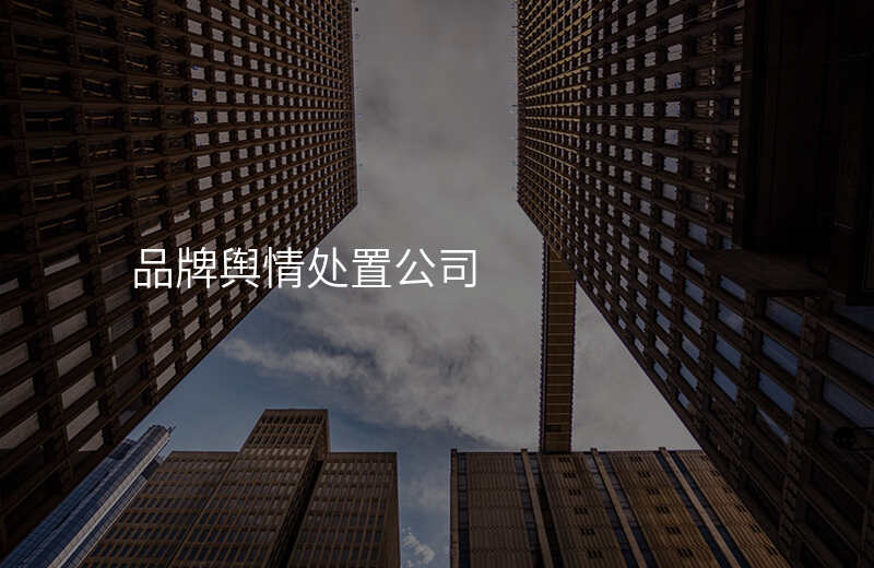 品牌舆情处置公司