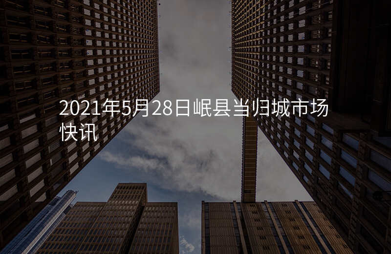 2021年5月28日岷县当归城市场快讯