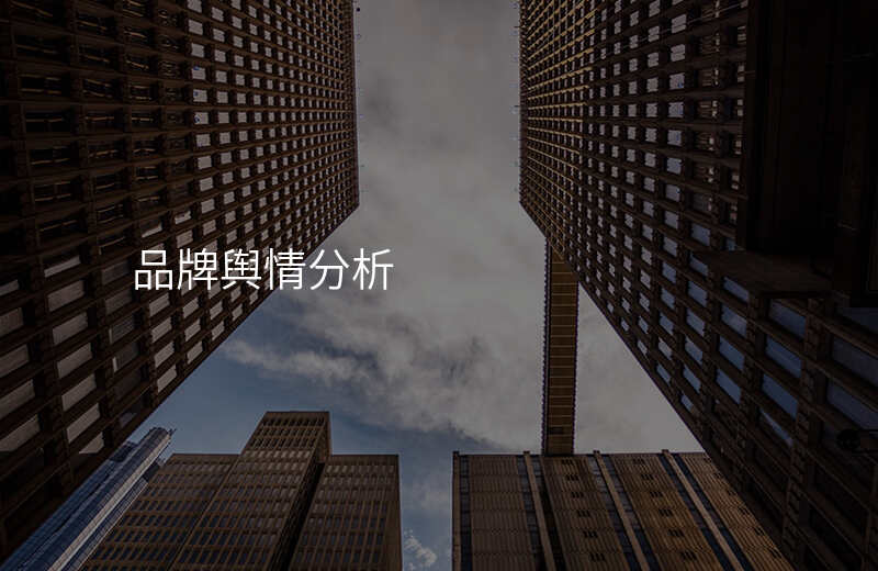 品牌舆情分析