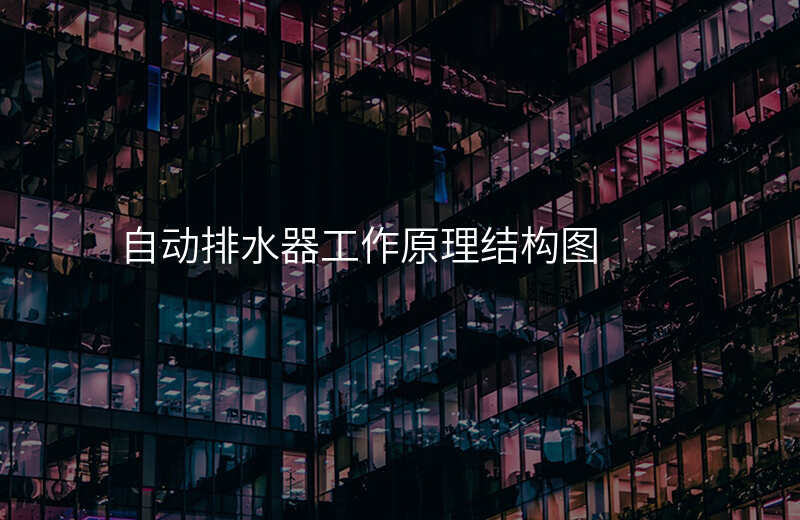 自动排水器工作原理结构图