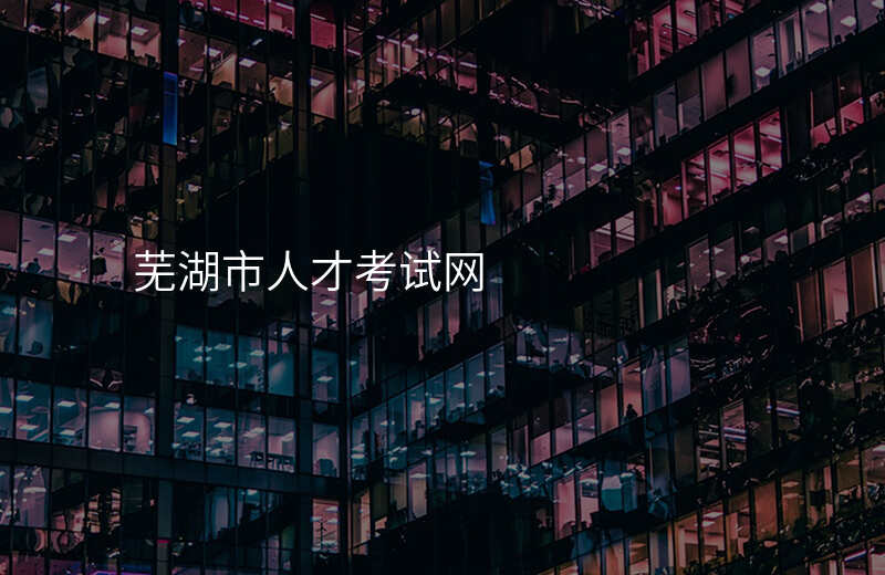 芜湖市人才考试网