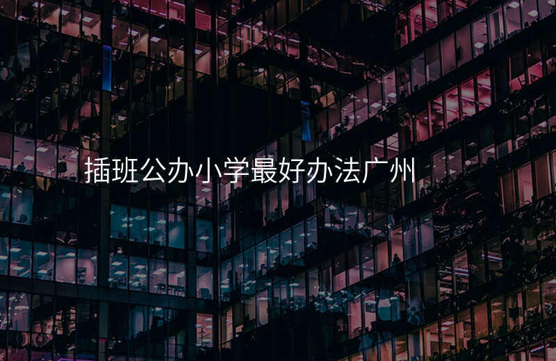 插班公办小学最好办法广州
