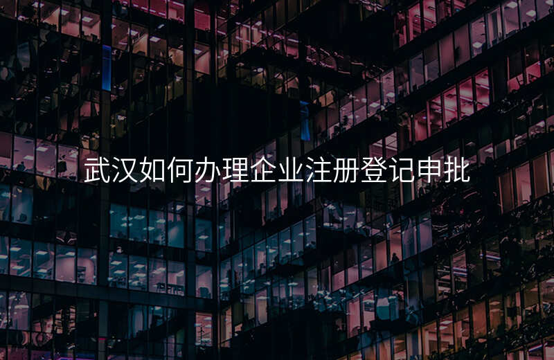 武汉如何办理企业注册登记申批