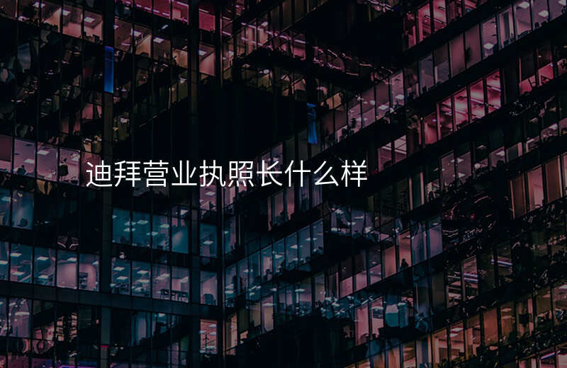 迪拜营业执照长什么样