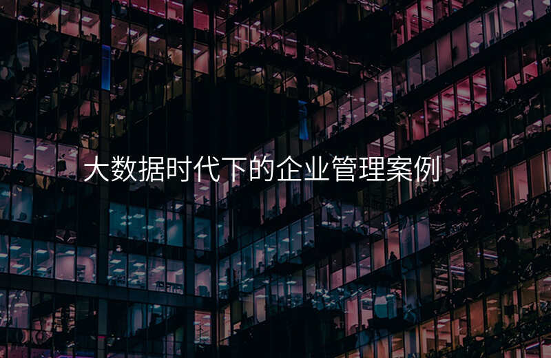 大数据时代下的企业管理案例
