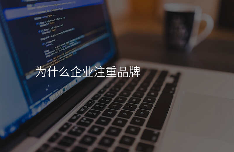 为什么企业注重品牌