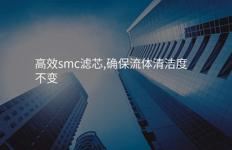 高效smc滤芯,确保流体清洁度不变