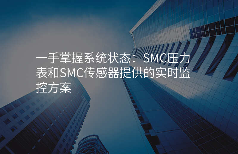 一手掌握系统状态:SMC压力表和SMC传感器提供的实时监控方案