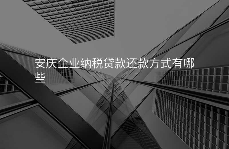 安庆企业纳税贷款还款方式有哪些