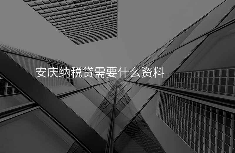 安庆纳税贷需要什么资料