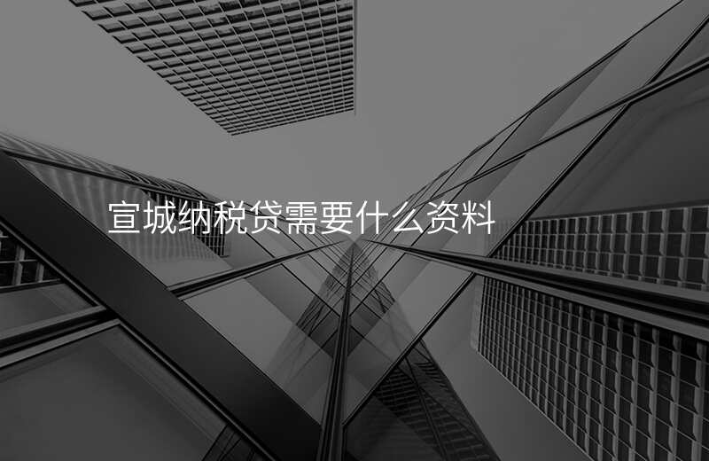 宣城纳税贷需要什么资料