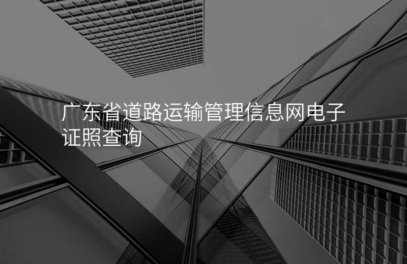 广东省道路运输管理信息网电子证照查询