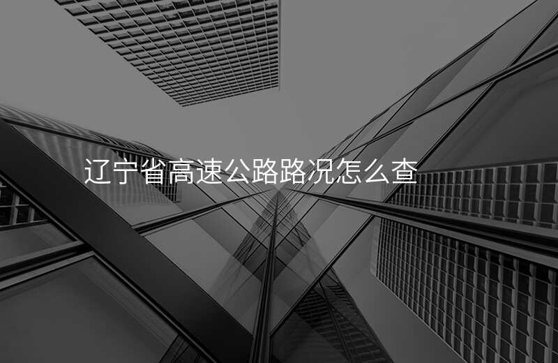 辽宁省高速公路路况怎么查