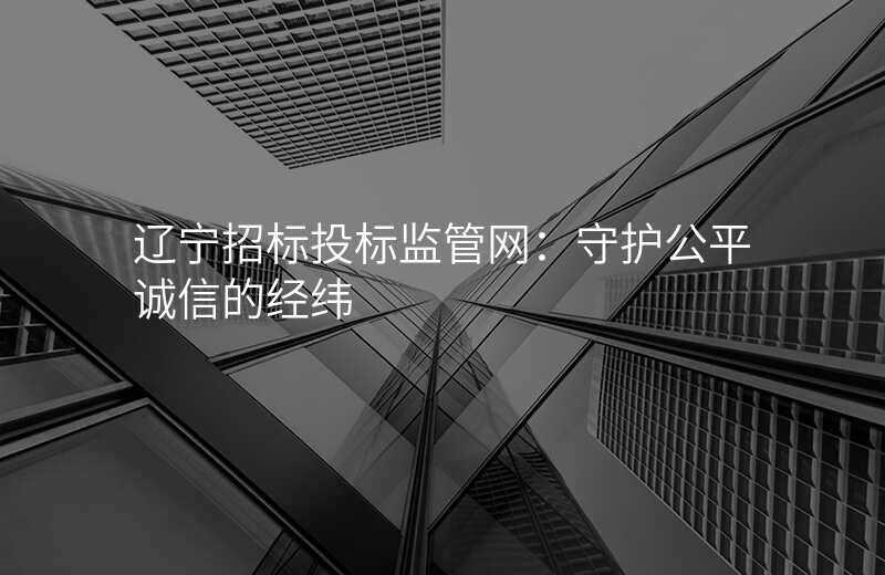 辽宁招标投标监管网:守护公平诚信的经纬