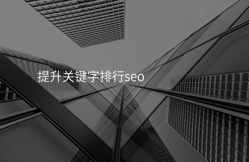 提升关键字排行seo