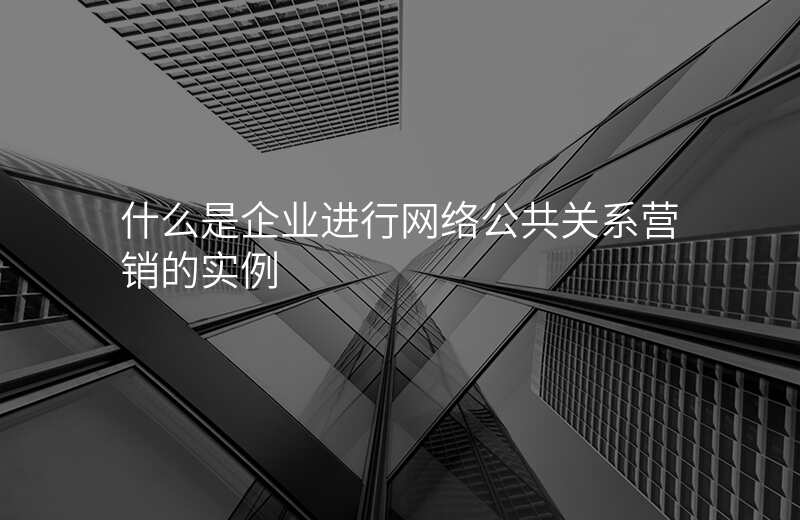 什么是企业进行网络公共关系营销的实例