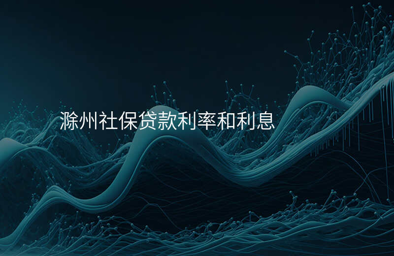 滁州社保贷款利率和利息
