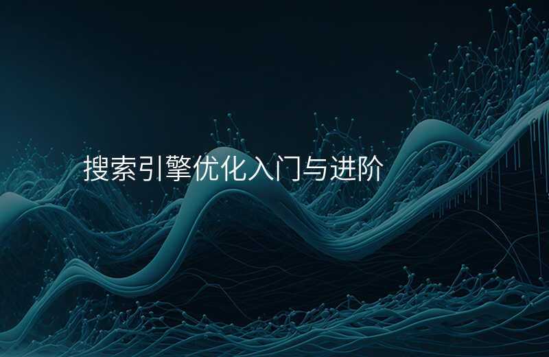 搜索引擎优化入门与进阶