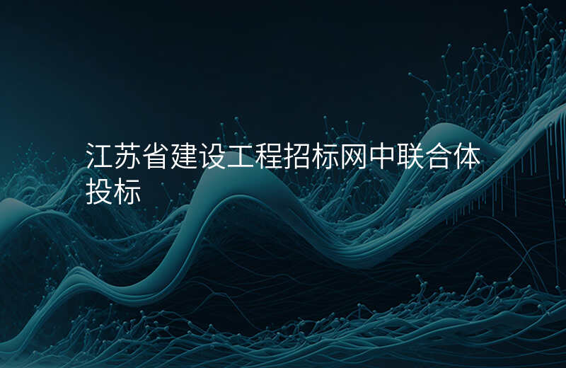 江苏省建设工程招标网中联合体投标