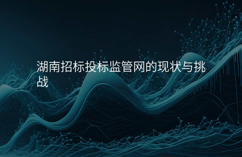 湖南招标投标监管网的现状与挑战
