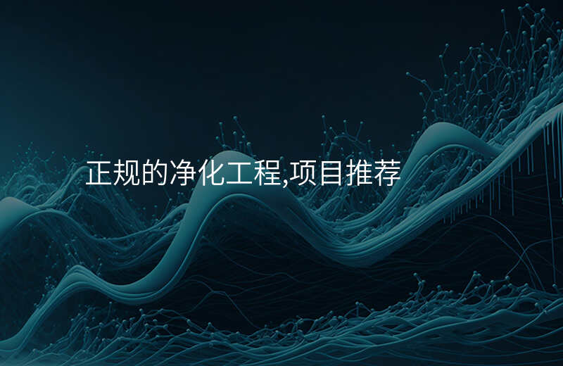 正规的净化工程,项目推荐
