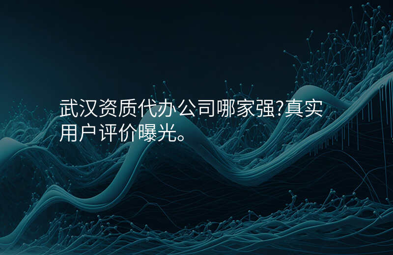 武汉资质代办公司哪家强?真实用户评价曝光。