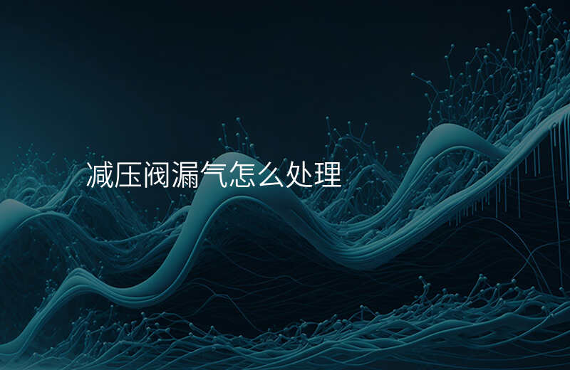 减压阀漏气怎么处理