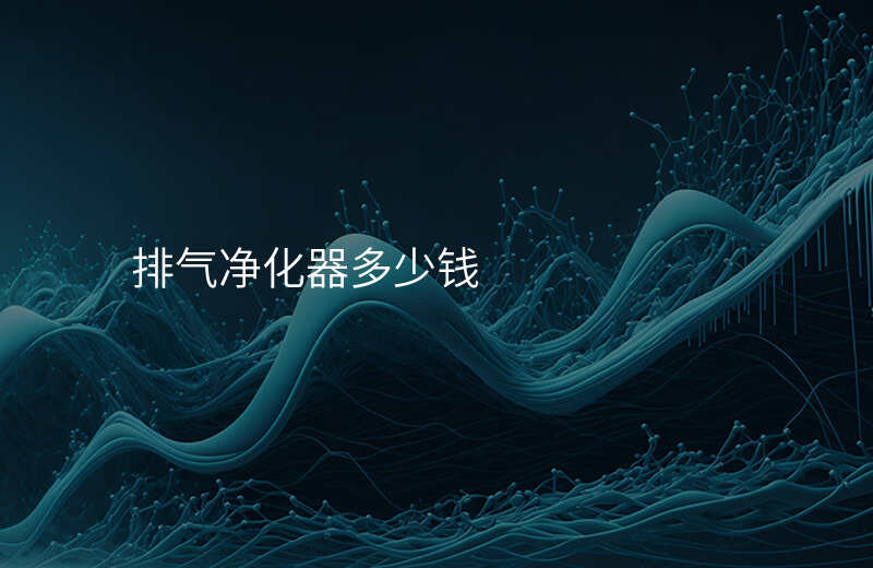 排气净化器多少钱