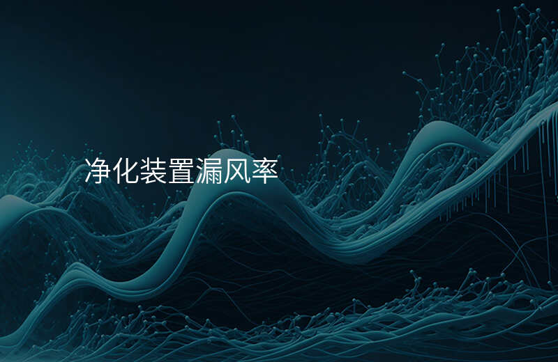 净化装置漏风率