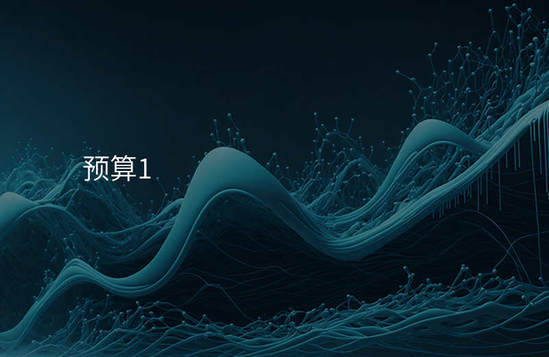预算1
