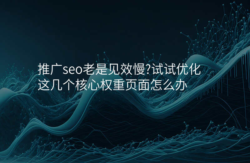 推广seo老是见效慢?试试优化这几个核心权重页面怎么办