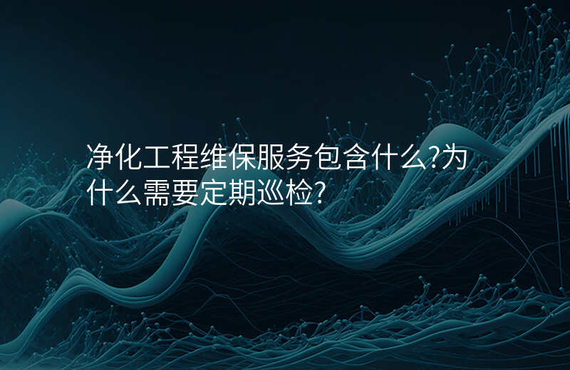 净化工程维保服务包含什么?为什么需要定期巡检?