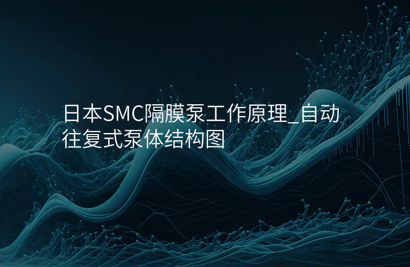 日本SMC隔膜泵工作原理_自动往复式泵体结构图