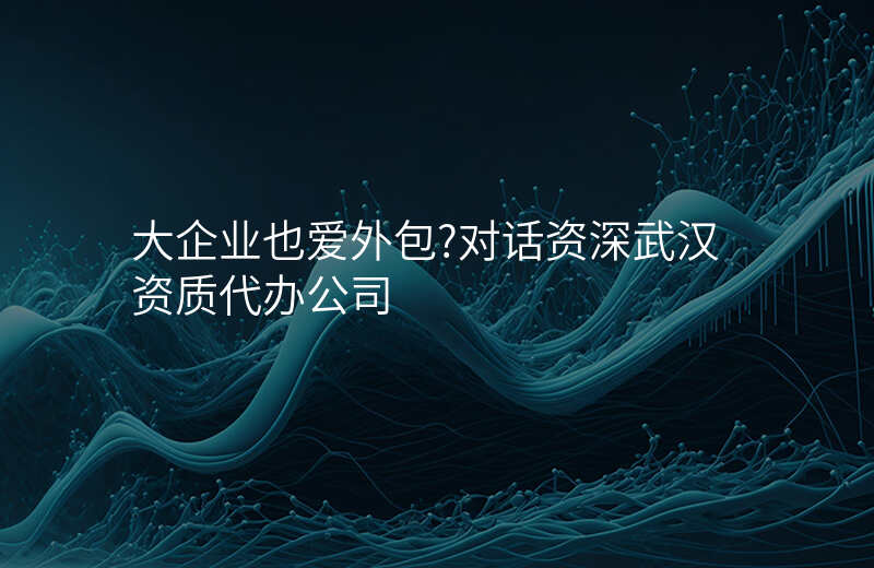 大企业也爱外包?对话资深武汉资质代办公司
